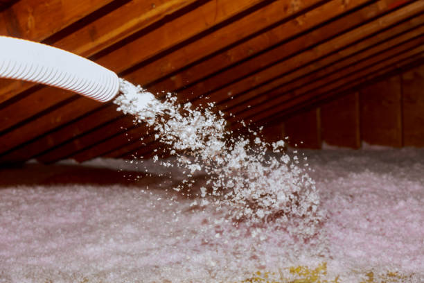Best Fiberglass Insulation  in Waterville, NY